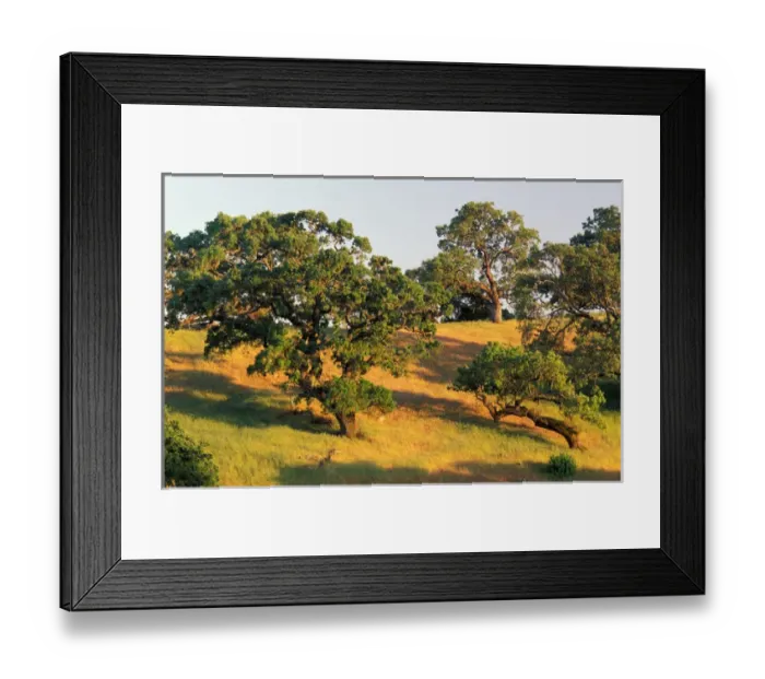 Framed Print : North America, USA, California, Sonoma county Framed Print : North America, USA, California, Sonoma county