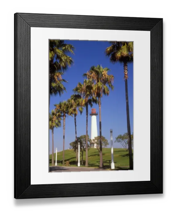 Framed Print : USA, California, Long Beach. Palm trees line the walkway to the Lions Lighthouse Framed Print : USA, California, Long Beach. Palm trees line the walkway to the Lions Lighthouse