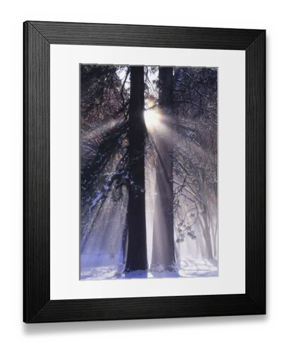 Framed Print : Rising sun, radiating and diffracting, Yosemite Valley, Yosemite National Park, Sierra Nevada Framed Print : Rising sun, radiating and diffracting, Yosemite Valley, Yosemite National Park, Sierra Nevada