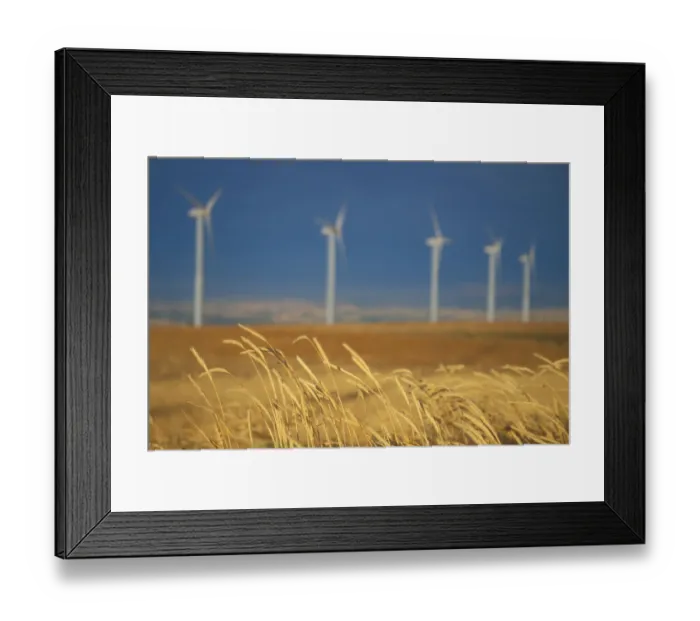 Framed Print : Power generating windmills are lined up behind the edge of a wheat field. Walla Walla County, WA Framed Print : Power generating windmills are lined up behind the edge of a wheat field. Walla Walla County, WA