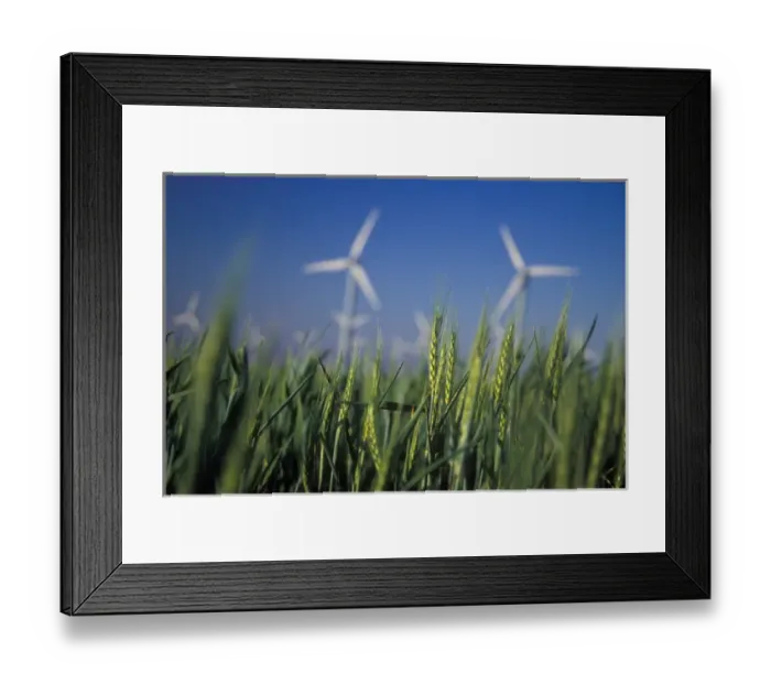 Framed Print : USA, Washington, Walla Walla County. The Stateline Wind Project is located in