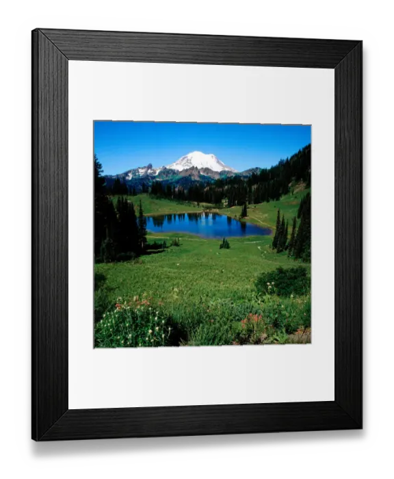 Framed Print : Mt. Rainier from Tipso Lake, Mt. Rainier National Park Framed Print : Mt. Rainier from Tipso Lake, Mt. Rainier National Park