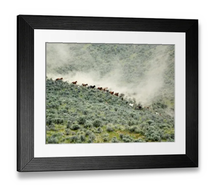 Framed Print : USA, Washington, Malaga, Running horses stirring dust during roundup. Credit as