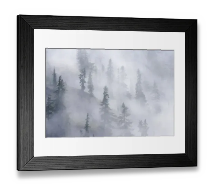 Framed Print : USA, Washington, Mount Baker Wilderness, Cascade Mountains. Dense fog blankets mountainside forest Framed Print : USA, Washington, Mount Baker Wilderness, Cascade Mountains. Dense fog blankets mountainside forest