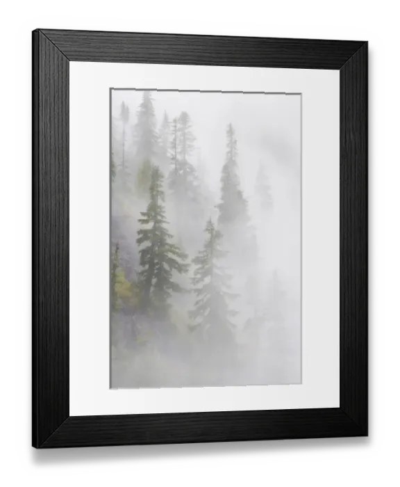 Framed Print : USA, Washington, Mount Baker Wilderness, Cascade Mountains. Dense fog blankets mountainside forest Framed Print : USA, Washington, Mount Baker Wilderness, Cascade Mountains. Dense fog blankets mountainside forest