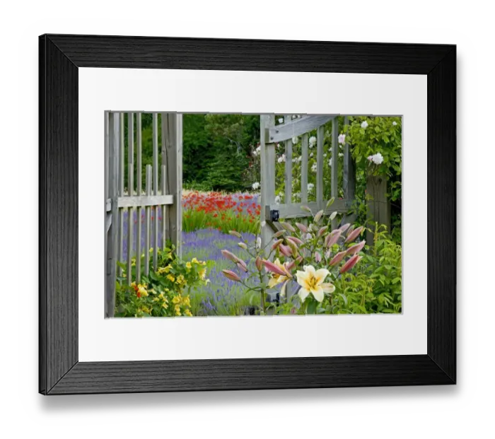 Framed Print : USA, Washington, Bainbridge Island. Garden gate opens onto variety of flowers and plants