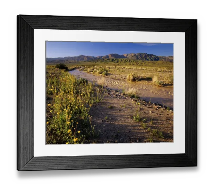 Framed Print : Amargosa River and Owlshead Range in Death Valley National Park in California Framed Print : Amargosa River and Owlshead Range in Death Valley National Park in California