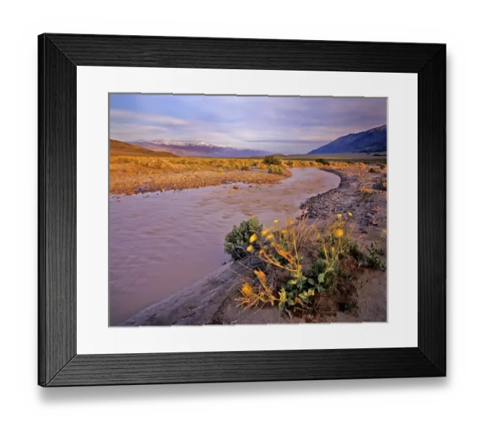 Framed Print : Amargosa River and Pantamint Range in Death Valley National Park in California Framed Print : Amargosa River and Pantamint Range in Death Valley National Park in California