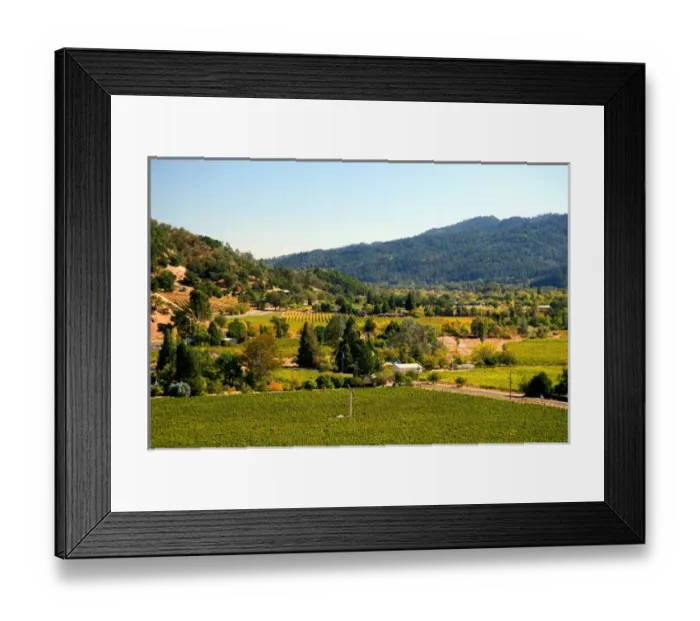 Framed Print : Valley with vineyards in Calistoga, California Framed Print : Valley with vineyards in Calistoga, California