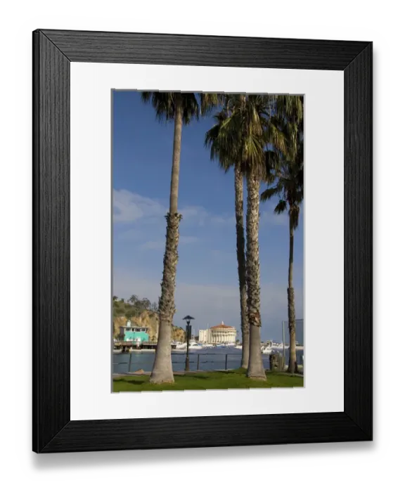 Framed Print : Palm trees frame Avalon Theater and Green Pier in the Avalon harbor on Catalina Island Framed Print : Palm trees frame Avalon Theater and Green Pier in the Avalon harbor on Catalina Island