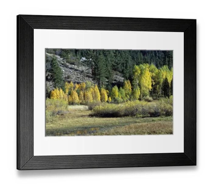Framed Print : USA, California, eastern Sierra Nevada Mountains with autumn color Framed Print : USA, California, eastern Sierra Nevada Mountains with autumn color