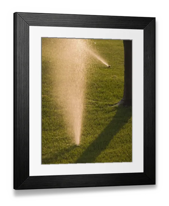 Framed Print : California, Camarillo Sprinklers watering lawn at sunrise