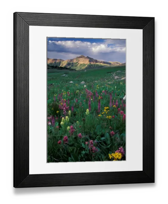 Framed Print : North America, USA, Colorado, American Lakes Wilderness. Landscape