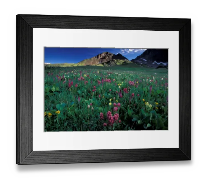 Framed Print : North America, USA, Colorado, American Lakes Wilderness. Landscape Framed Print : North America, USA, Colorado, American Lakes Wilderness. Landscape