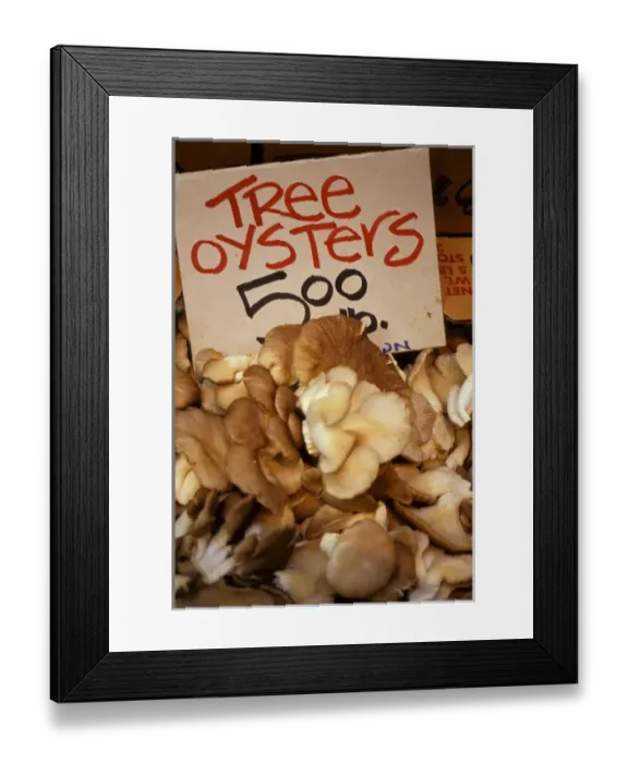 Framed Print : North America, USA, CA, San Francisco, ferry building farmers market, Tree Oyster Framed Print : North America, USA, CA, San Francisco, ferry building farmers market, Tree Oyster