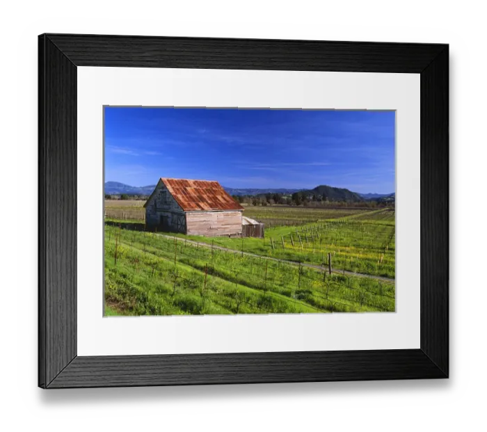 Framed Print : USA, California, Dry Creek Valley, wine country, an old barn in a vineyard