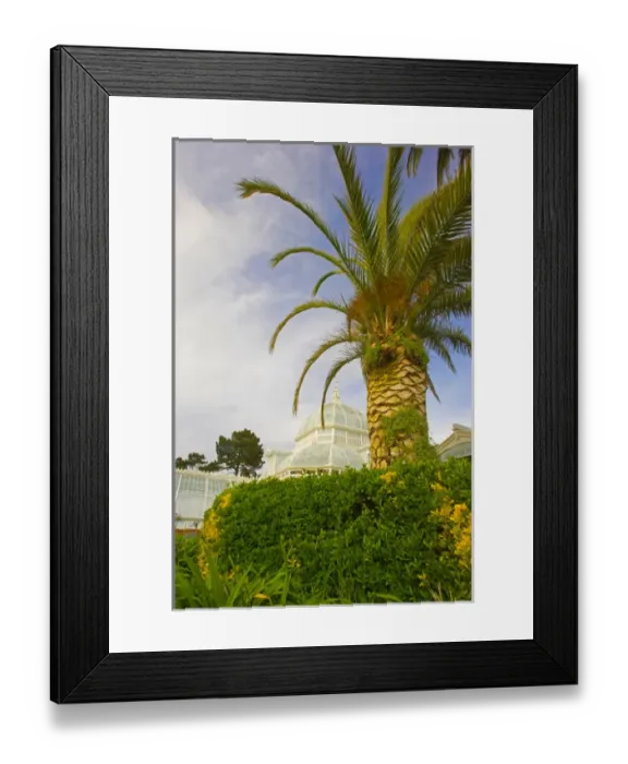 Framed Print : USA, California, San Francisco, San Francisco Conservatory of Flowers in Golden