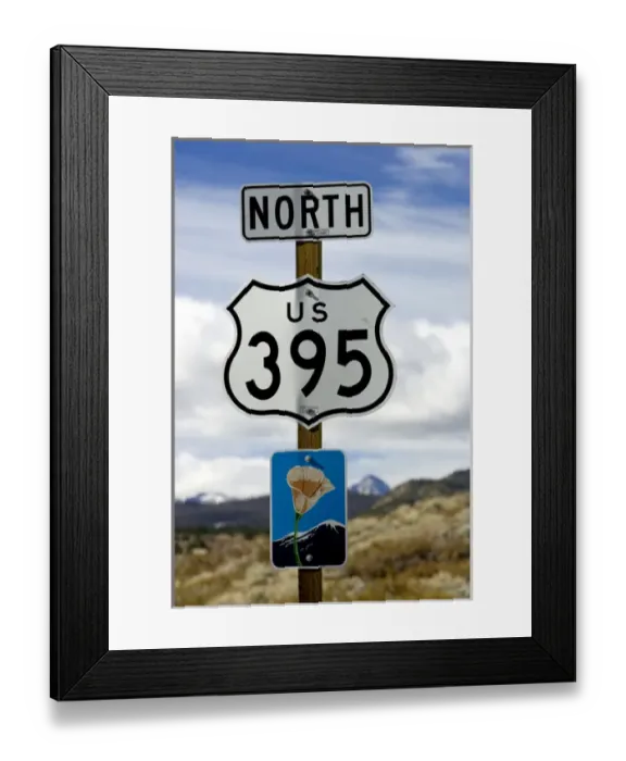 Framed Print : An upward view of a Highway 395 North sign post including a California Scenic Highway Framed Print : An upward view of a Highway 395 North sign post including a California Scenic Highway