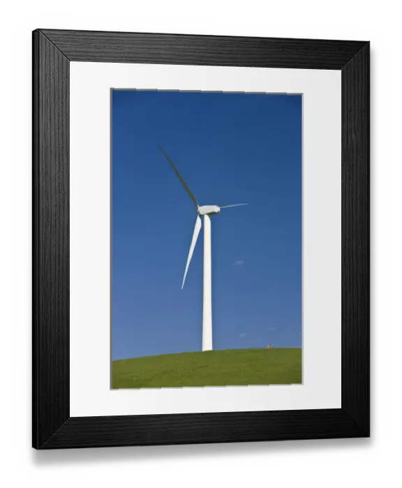 Framed Print : Renewable energy through wind power is collected via wind turbines in northern California s Framed Print : Renewable energy through wind power is collected via wind turbines in northern California s