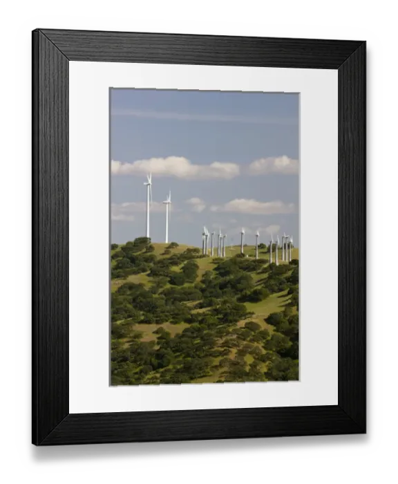 Framed Print : Wind turbines above a California Oak forest in the hills of California Framed Print : Wind turbines above a California Oak forest in the hills of California