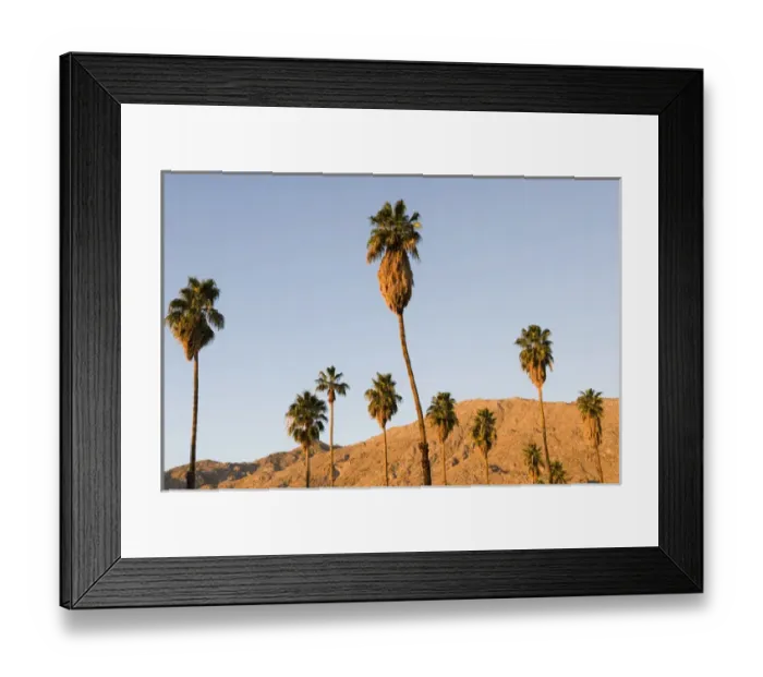Framed Print : Palm trees and the San Jacinto Mountains in Palm Springs California USA