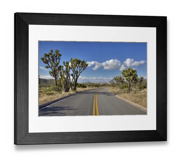 Framed Print : Joshua Tree NP, Joshua trees and road