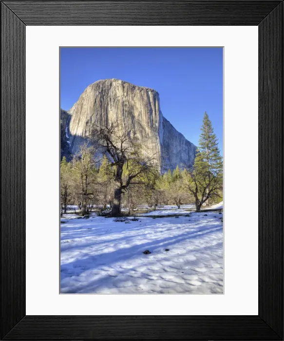 Framed Print : CA, Yosemite NP, El Capitan and oak tree Framed Print : CA, Yosemite NP, El Capitan and oak tree