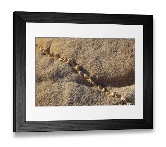 Framed Print : CA, Joshua Tree NP, Aplite vein in Monzogranite formation Framed Print : CA, Joshua Tree NP, Aplite vein in Monzogranite formation