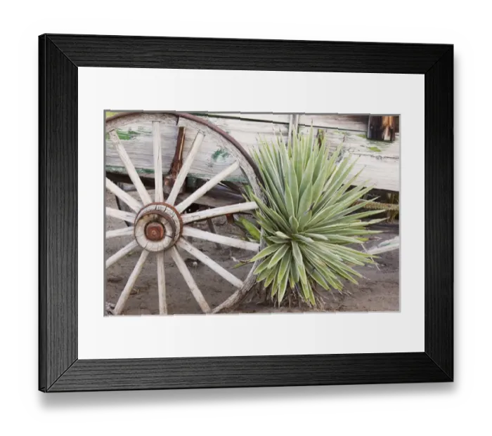 Framed Print : CA, Anza-Borrego Desert State Park, desert agave plant and wagon Framed Print : CA, Anza-Borrego Desert State Park, desert agave plant and wagon