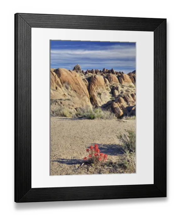 Framed Print : CA, Lone Pine, Alabama Hills, Desert Paintbrush and weathered granite rock formations Framed Print : CA, Lone Pine, Alabama Hills, Desert Paintbrush and weathered granite rock formations