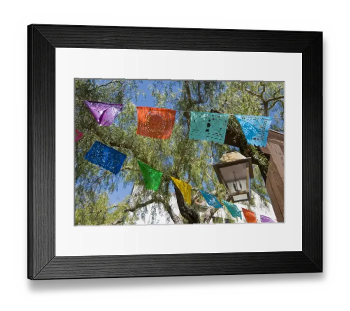 Framed Print : North America, California, San Diego. San Diego is the site of the first permanent