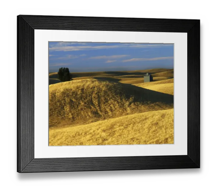 Framed Print : USA, Washington, Whitman County, Palouse, Wheat fields Framed Print : USA, Washington, Whitman County, Palouse, Wheat fields