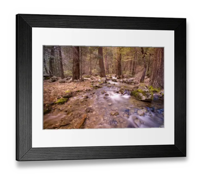 Framed Print : USA, California, Yosemite National Park. Water calmly flows through stream in Yosemite s Framed Print : USA, California, Yosemite National Park. Water calmly flows through stream in Yosemite s