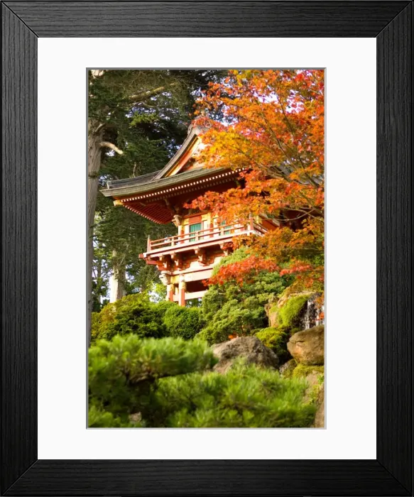 Framed Print : USA, California, San Francisco, Golden Gate Park, Japanese Tea Garden Framed Print : USA, California, San Francisco, Golden Gate Park, Japanese Tea Garden