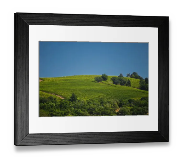 Framed Print : USA, California, Sonoma, Healdsburg. The hillsof the Alexander Valley Framed Print : USA, California, Sonoma, Healdsburg. The hillsof the Alexander Valley