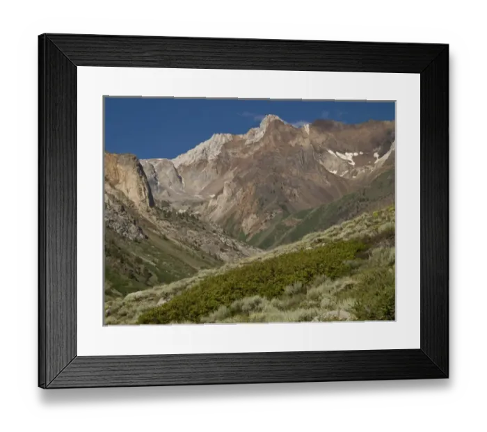 Framed Print : Red and White Mountain, manzanita and sagebrush in foreground, McGee Creek area, Eastern Sierras Framed Print : Red and White Mountain, manzanita and sagebrush in foreground, McGee Creek area, Eastern Sierras