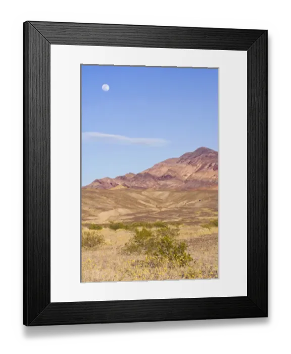 Framed Print : USA, CA, Full Moon Rising Over Desert Gold Blooming in Death Valley NP Framed Print : USA, CA, Full Moon Rising Over Desert Gold Blooming in Death Valley NP