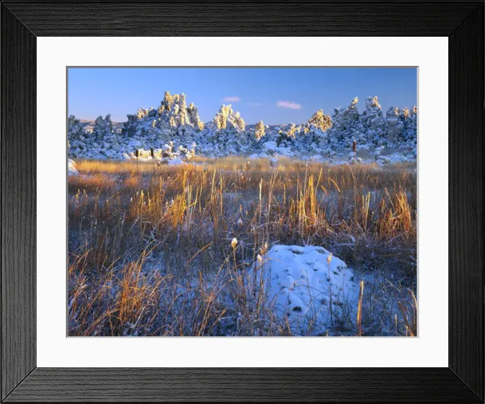 Framed Print : MONO BASIN NATIONAL FOREST RESERVE, CALIFORNIA. USA. Fresh snow on tufa formations Framed Print : MONO BASIN NATIONAL FOREST RESERVE, CALIFORNIA. USA. Fresh snow on tufa formations