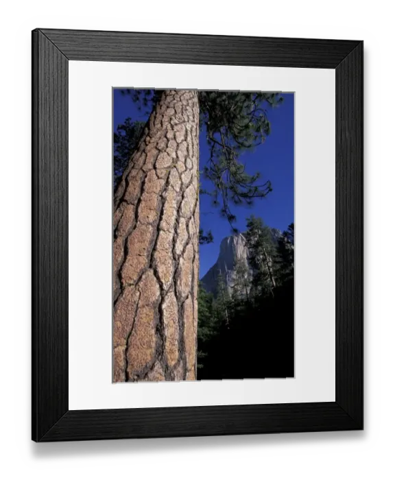 Framed Print : U. S. A. California Yosemite National Park Scenic Note: May not be sold in France