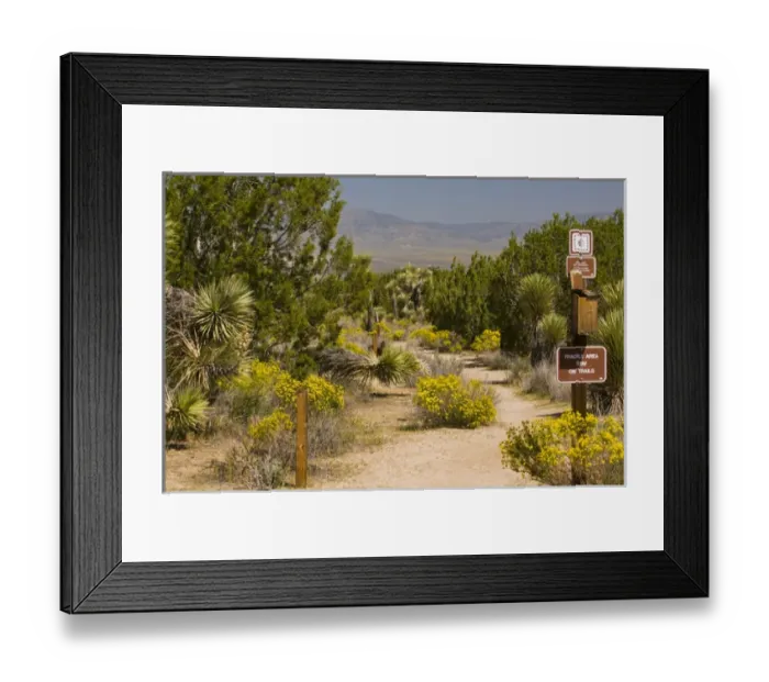 Framed Print : USA, CA, Antelope Valley, Arthur B Ripley Woodland Desert State Park. Native desert plants