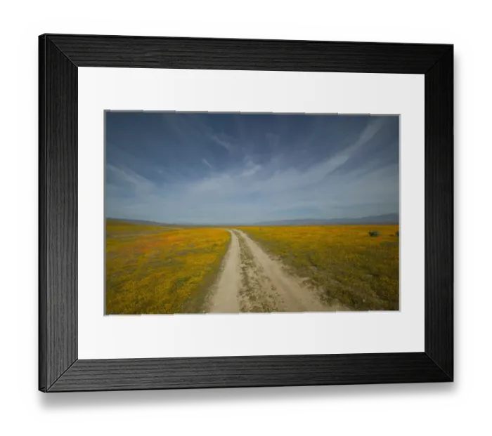 Framed Print : NA, USA, CA, Lancaster, Antelope Valley, CA Poppies