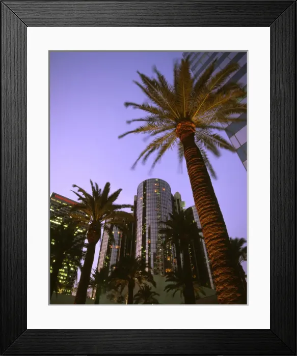 Framed Print : U. S. A. California, Los Angeles Downtown area, palms and Bonaventure Hotel Framed Print : U. S. A. California, Los Angeles Downtown area, palms and Bonaventure Hotel