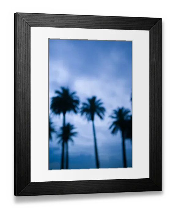 Framed Print : USA-California-Los Angeles-Santa Monica: Palms (defocussed) along Ocean Avenue