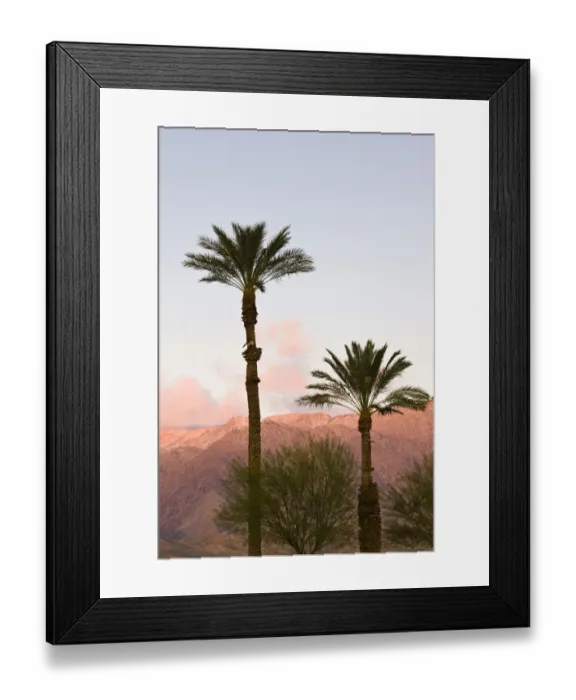 Framed Print : USA, California, Anza-Borrego Desert State Park. Palms and mountain sunrise Framed Print : USA, California, Anza-Borrego Desert State Park. Palms and mountain sunrise