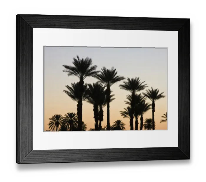 Framed Print : USA, California, Anza-Borrego Desert State Park. Palms at dawn Framed Print : USA, California, Anza-Borrego Desert State Park. Palms at dawn
