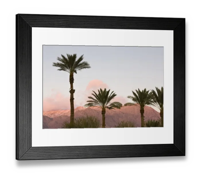 Framed Print : USA, California, Anza-Borrego Desert State Park. Palms and mountain sunrise