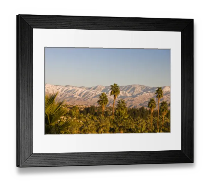 Framed Print : USA, California, Palm Springs. Palms and San Bernardino Mountains, sunrise Framed Print : USA, California, Palm Springs. Palms and San Bernardino Mountains, sunrise