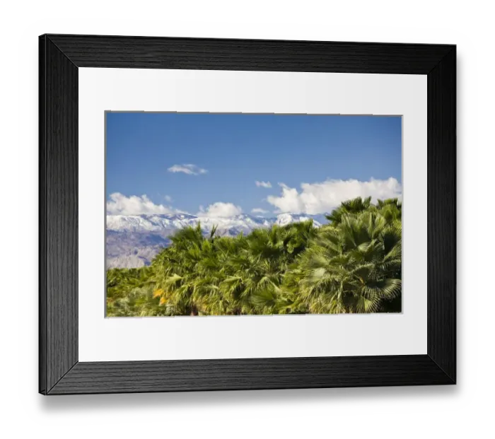 Framed Print : USA, California, Thermal. Palm grove and San Jacinto Mountains, winter