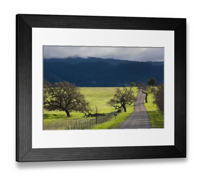 Framed Print : USA, California, Southern California, Santa Ynez, Santa Barbara Wine Country, landscape with trees Framed Print : USA, California, Southern California, Santa Ynez, Santa Barbara Wine Country, landscape with trees