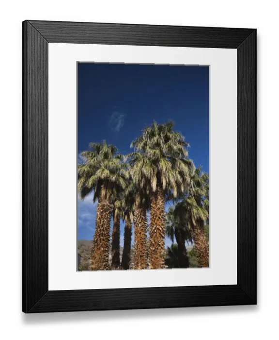 Framed Print : USA, California, Death Valley National Park, Scottys Castle, former home of Death Valley Scotty